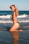 gợi cảm bodied leggy người mẫu Anita. tối trong bikini tư thế trên những trên bãi biển, :Bởi: những biển