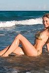 Sexy bodied leggy model Anita Dark in bikini poses on the beach by the sea
