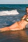 sexy corpo Leggy modelo anita escuro no Biquini poses no o praia :por: o mar