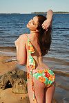 este Sacanagem e Incrível solo Babe no biquini é mostrando ela natural mamas no o praia