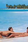 ضخمة عارية شقراء ماندي مشرق يتمتع الشرج الجنس في الرمال على على البرية الشاطئ