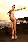 hermosa totalmente Desnudo Morena modelo Melisa Con Perfecto las piernas Plantea en el salvaje playa