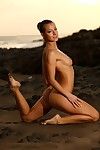 Beautiful fully nude brunette model Melisa with perfect legs poses on the wild beach