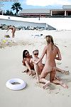 nudo Amatoriale Adolescente babes in occhiali da sole Avendo alcuni divertente su il spiaggia